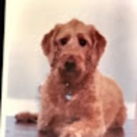 Meet your Posher, Ingrid - Picture 1 of 1